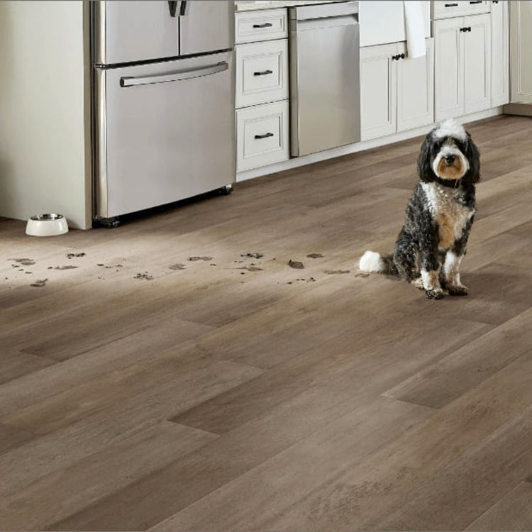 Pavimenti in legno impermeabile 4mm 5mm Pvc Click Lock Spc Pavimenti Lvp Vinyl Plank Pavimenti in vinile di lusso con IXPE