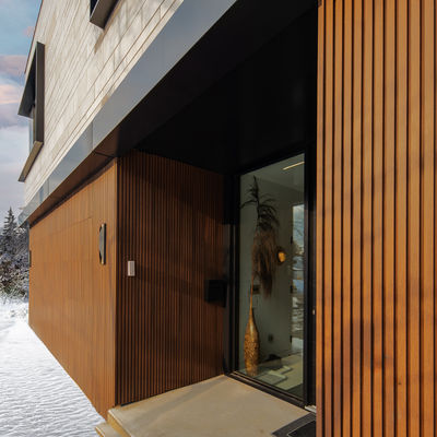 Resistenza interna della putrefazione del pannello di parete della griglia moderna WPC 195mmx28mm